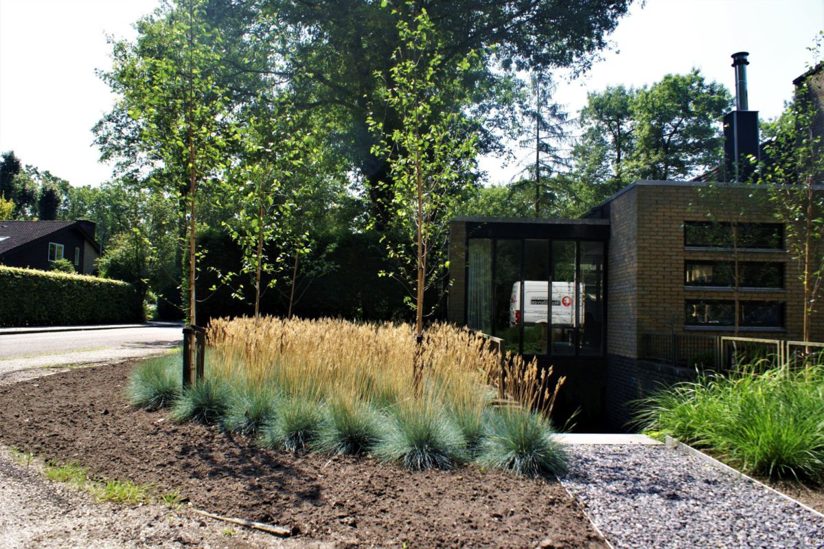 Moderne bostuin